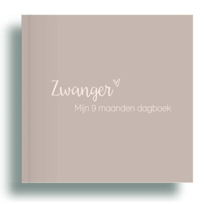 Zwanger - 9 maanden invulboek