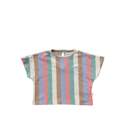 Your Wishes Stripes Cropped Top - Multicolor
