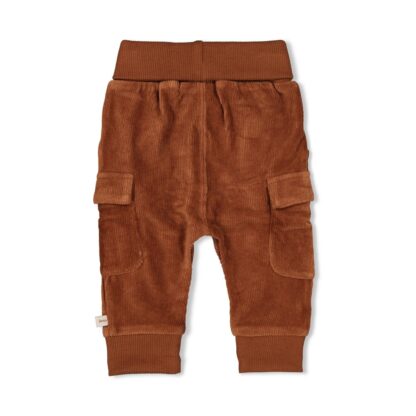 Feetje Wild World - Broek Velours Rib Bruin - Afbeelding 2